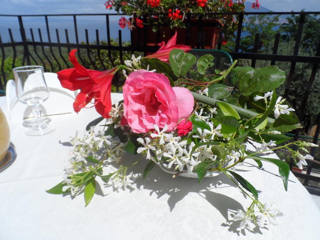 Ancelle Sorrento - Casa D'Accoglienza Hotell Castellammare di Stabia Exteriör bild